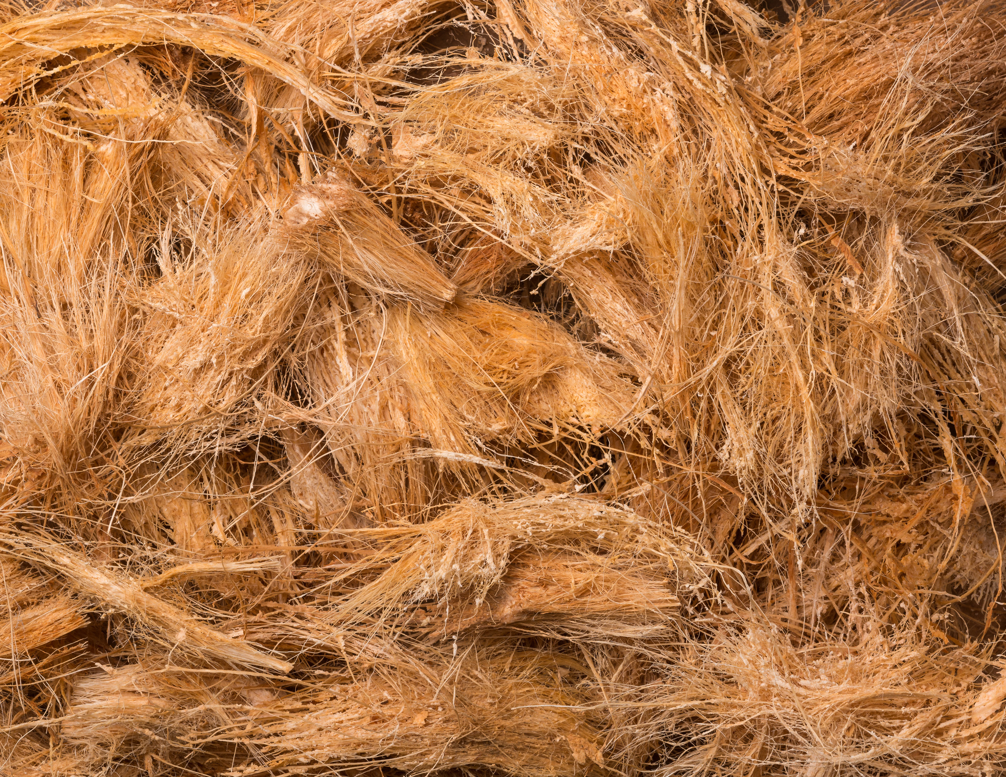 coconut husk fiber or coir, natural fiber extracted from coconut fruit