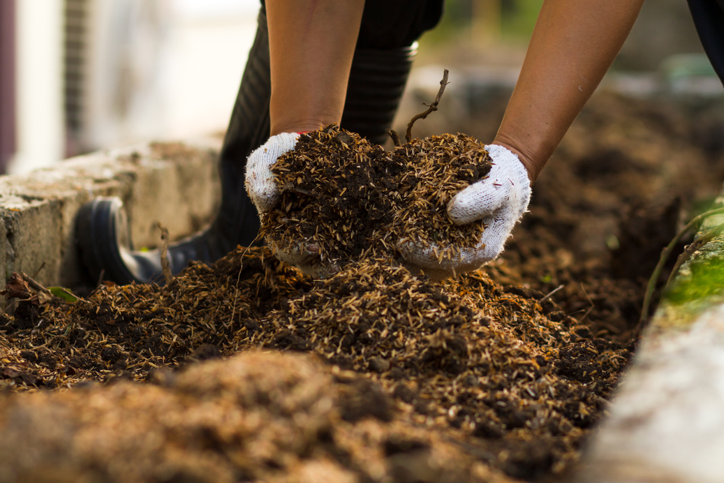 Soil mixed with compost at vegetable garden