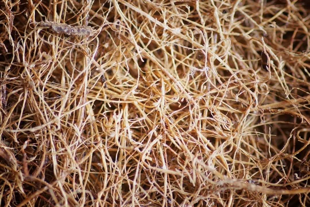 Background Natural Material Flax Coconut