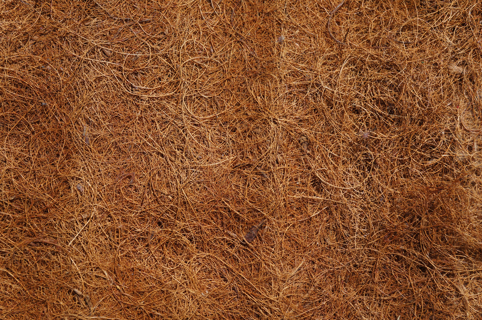 coconut fiber for backgrounds or textures